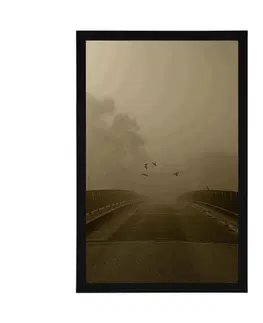 Černobílé Plakát přelet ptactva nad mostem v sépiovém provedení