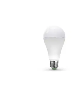LED osvětlení  LED Žárovka LEDSTAR ECO A65 E27/20W/230V 4000K 