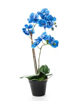 Květinové dekorace Modrá orchidej