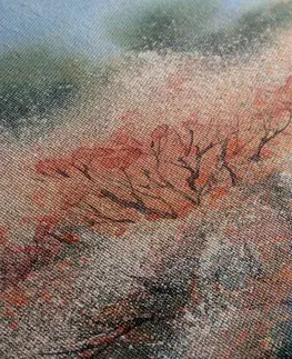 Obrazy přírody a krajiny Obraz akvarelové kvetoucí stromy