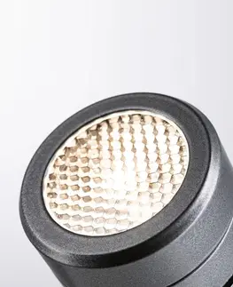 Venkovní svítidla Paulmann Plug & Shine Paulmann Paulmann Plug & Shine LED zapichovací světlo Radix