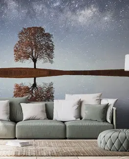 Tapety příroda Fototapeta hvězdná obloha nad osamělým stromem