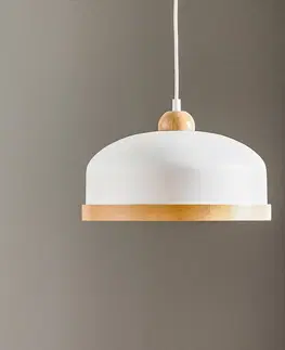 Závěsná světla Eko-Light Závěsné světlo Studio, dřevěný dekor 1 zdroj bílá