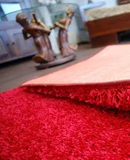 Koberce a koberečky Dywany Lusczow Kusový koberec SHAGGY Izebelie 5cm bordó, velikost 300x500