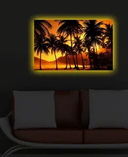 Obrazy Wallity Obraz s LED osvětlením PALMY V ZÁPADU SLUNCE 36 45 x 70 cm
