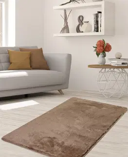 Koberce a koberečky Conceptum Hypnose Koberec Milano 80x140 cm hnědý