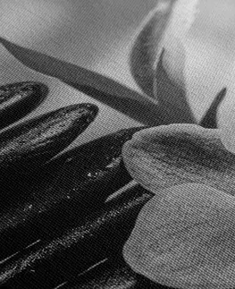 Černobílé obrazy Obraz meditační Zen kompozice v černobílém provedení