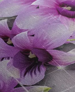 Obrazy květů Obraz fialové květy na abstraktním pozadí