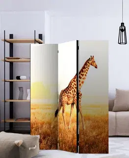 Paravány Paraván giraffe - walk Dekorhome 225x172 cm (5-dílný)