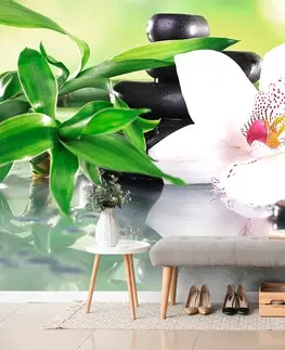 Samolepící tapety Samolepící fototapeta japonská orchidej