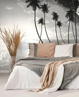 Samolepící tapety Samolepící tapeta černobílé tropické palmy