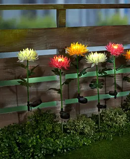 Svíčky a světelné dekorace Solární chryzantéma