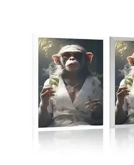 Zvířecí gangsteři Plakát zvířecí gangster opice