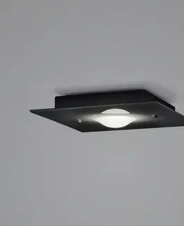 Stropní svítidla Helestra Helestra Nomi LED stropní světlo 23x23cm dim černá