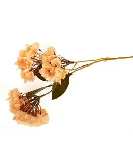 Květinové dekorace Snítka hortenzie