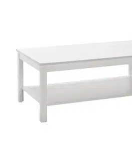 Konferenční stoly Adore Furniture Konferenční stolek 40x80 cm bílá 
