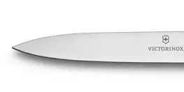 Kuchyňské nože Victorinox Nůž na zeleninu 10 cm