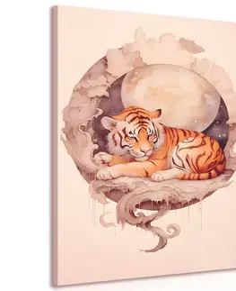 Zasněná zvířátka Obraz zasněný tygr