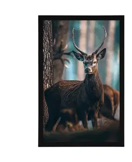 Zvířata Plakát jelen v lese