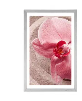 Květiny Plakát s paspartou mořský písek a růžová orchidej