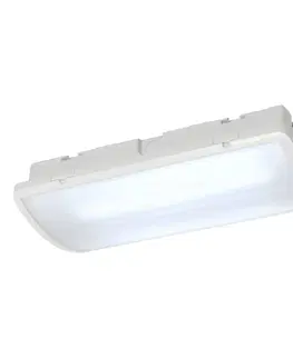 Nouzová svítidla SLV BIG WHITE P-LIGHT, stropní svítidlo, LED, 6000K, IP65, obdélníkové, bílé, 6,5 W 240004