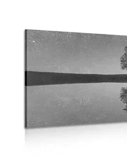 Černobílé obrazy Obraz hvězdná obloha nad osamělým stromem v černobílém provedení