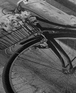 Černobílé obrazy Obraz rustikální kolo v černobílém provedení