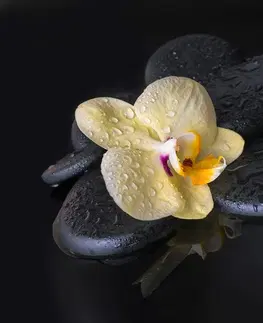 Samolepící tapety Samolepící fototapeta Zen kameny se žlutou orchidejí