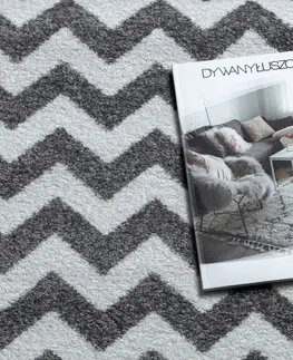 Koberce a koberečky Dywany Lusczow Kusový koberec SKETCH MIKE šedý / bílý - Cikcak, velikost 120x170