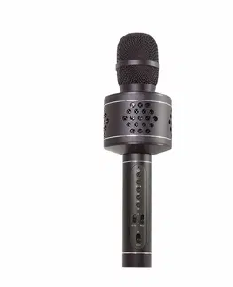Dřevěné hračky Teddies Mikrofon karaoke Bluetooth, černá, na baterie, s USB kabelem