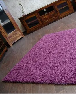 Koberce a koberečky Dywany Lusczow Kusový koberec SHAGGY Izebelie 5cm fialový, velikost 200x350