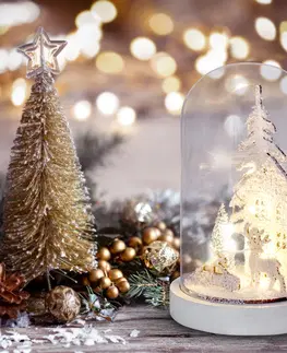 LED osvětlení na baterie Solight LED vánoční dekorace, zasněžená krajina s domkem, 18cm, 10x LED, 2x AAA 1V264