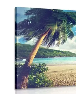Obrazy přírody a krajiny Obraz západ slunce na ostrově Seychely