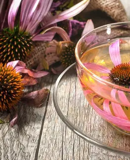 Obrazy jídla a nápoje Obraz šálek bylinného čaje