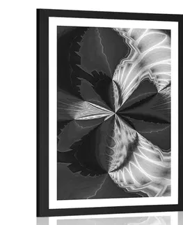 Černobílé Plakát s paspartou umělecká abstrakce v černobílém provedení