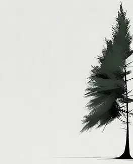 Obrazy stromy a listy Obraz minimalistický jehličnatý strom