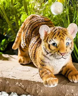 Dekorace Tygří mládě