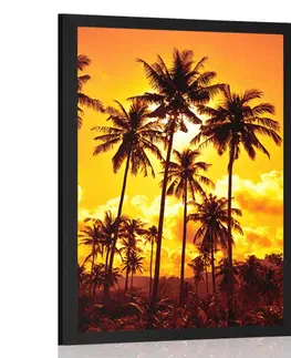 Příroda Plakát kokosové palmy na pláži