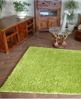 Koberce a koberečky Dywany Lusczow Kusový koberec SHAGGY Izebelie 5cm zelený, velikost 80x150
