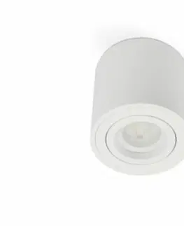 LED bodová svítidla BPM Stropní svítidlo Kup 8017.02 matná bílá 8017.02.D40.3K