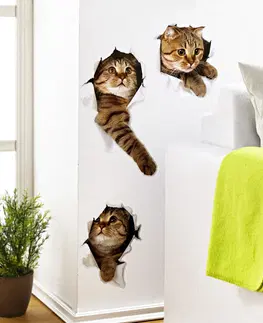 Dekorace oken a dveří 3 samolepky na zeď "Kočky"
