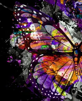 Pop art obrazy Obraz neobyčejný motýl