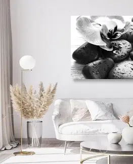 Černobílé obrazy Obraz kouzelná souhra kamenů a orchideje v černobílém provedení