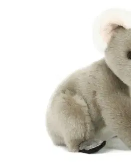 Hračky LAMPS - Koala plyšová 20cm