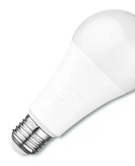 LED žárovky Ecolite LED zdroj E27, A65, 20W, 4100K, 2100lm LED20W-A65/E27/4100