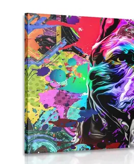 Pop art obrazy Obraz pestrobarevná ilustrace psa