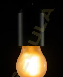 LED žárovky Segula 50642 LED soft žárovka A15 matná E27 3,2 W (20 W) 190 Lm 2.200 K