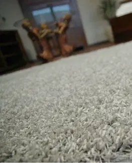 Koberce a koberečky Dywany Lusczow Kusový koberec SHAGGY Izebelie 5cm šedý, velikost 200x500