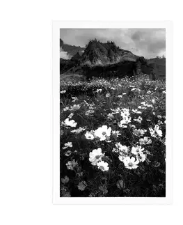 Černobílé Plakát louka kvetoucích květin v černobílém provedení