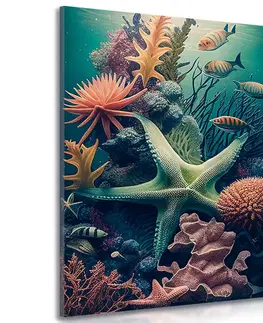 Obrazy podmořský svět Obraz surrealistická hvězdovka